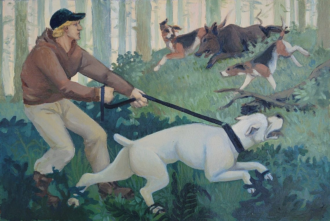 Hog hunt
